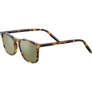 SERENGETI Sunglasses DELIO Shiny Classic Havana - Mineral 555nm/POLARIZED
