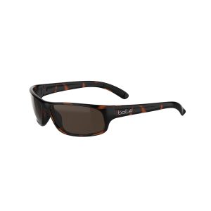 BOLLE Sunglasses ANACONDA Dark Tortoise Shiny - Brown/POLARIZED